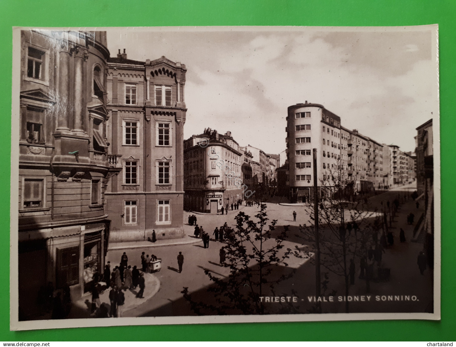 Cartolina - Trieste - Viale Sidney Sonnino - 1940 ca.