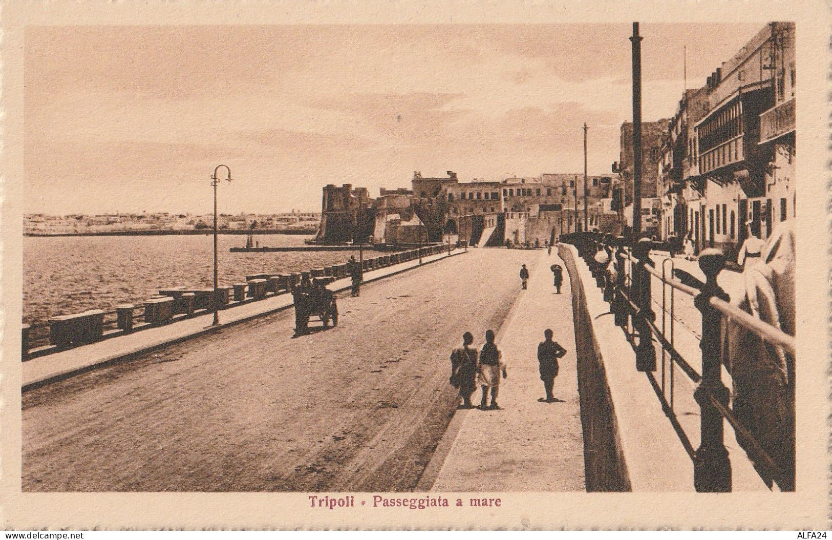 CARTOLINA TRIPOLI LIBIA COLONIE ITALIANE (V_3631