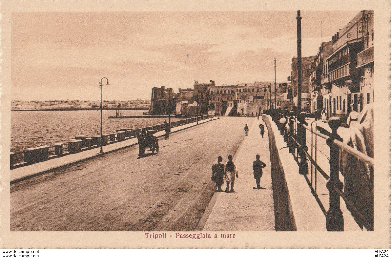 CARTOLINA TRIPOLI LIBIA COLONIE ITALIANE (V_3631