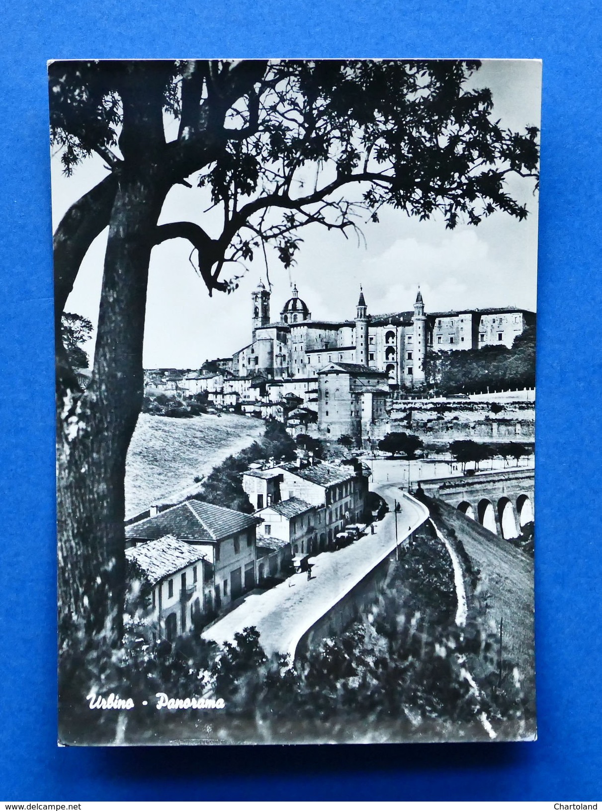 Cartolina Urbino - Panorama - 1960