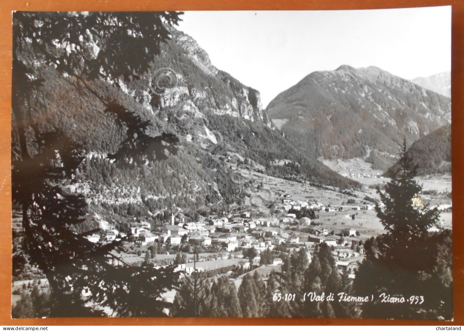 Cartolina (Val di Fiemme) Ziano (Trentino Alto-Adige) - 1966