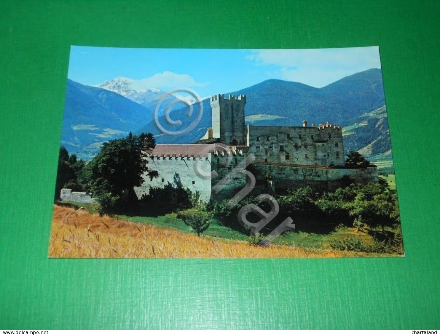 Cartolina Val Venosta - Sluderno - Castel Coira 1965 ca