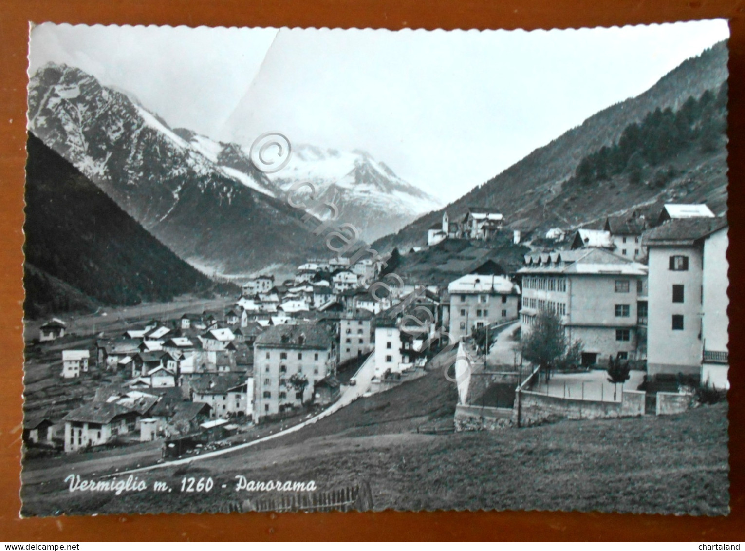 Cartolina Vermiglio (Trentino Alto-Adige) m. 1260 - Panorama - 1964