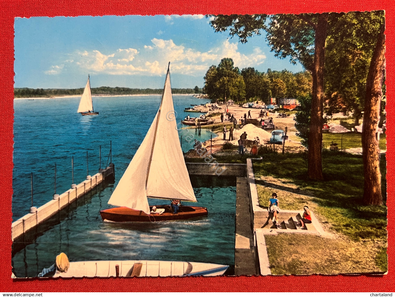 Cartolina - Vigevano - Il Ticino - 1964