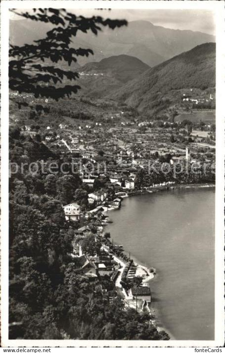 Caslano Panorama Luganersee
