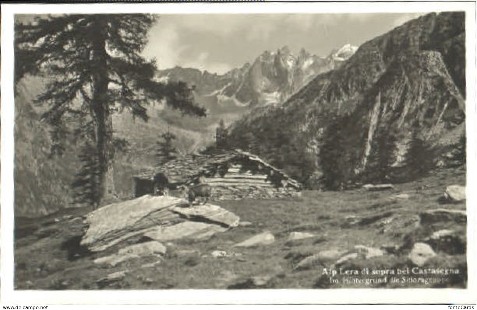 Castasegna Alp Lera Scioragruppe o