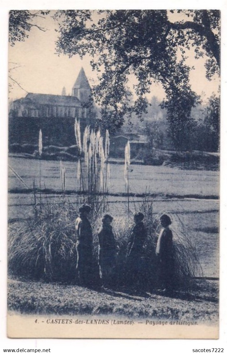 CASTETS DES LANDES - Paysage artistique -