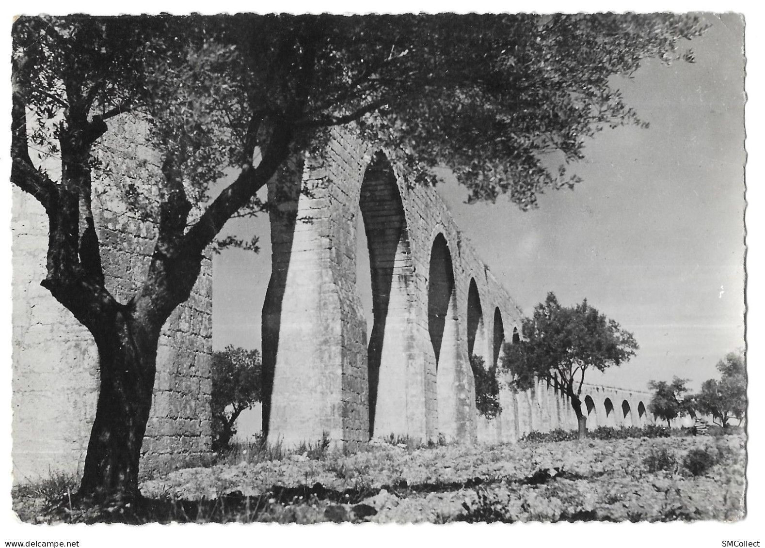 Castries, l'aqueduc (GF5442)