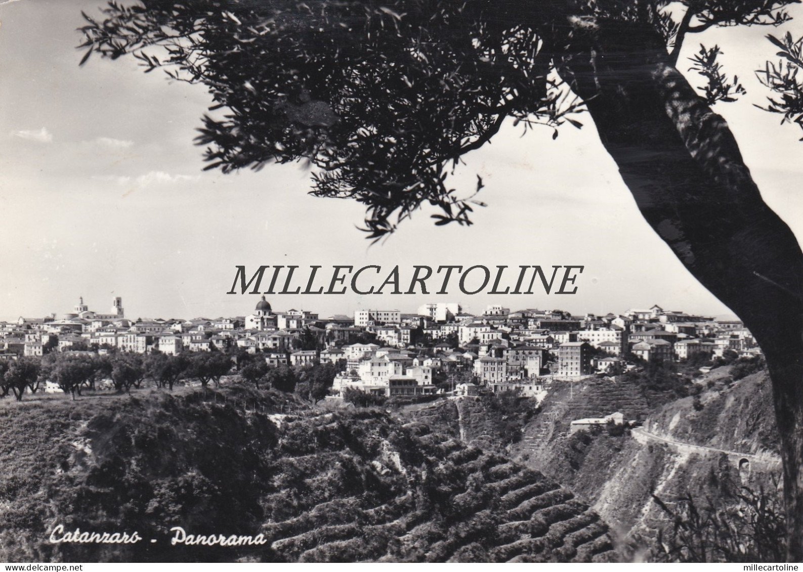 CATANZARO:  Panorama    1959