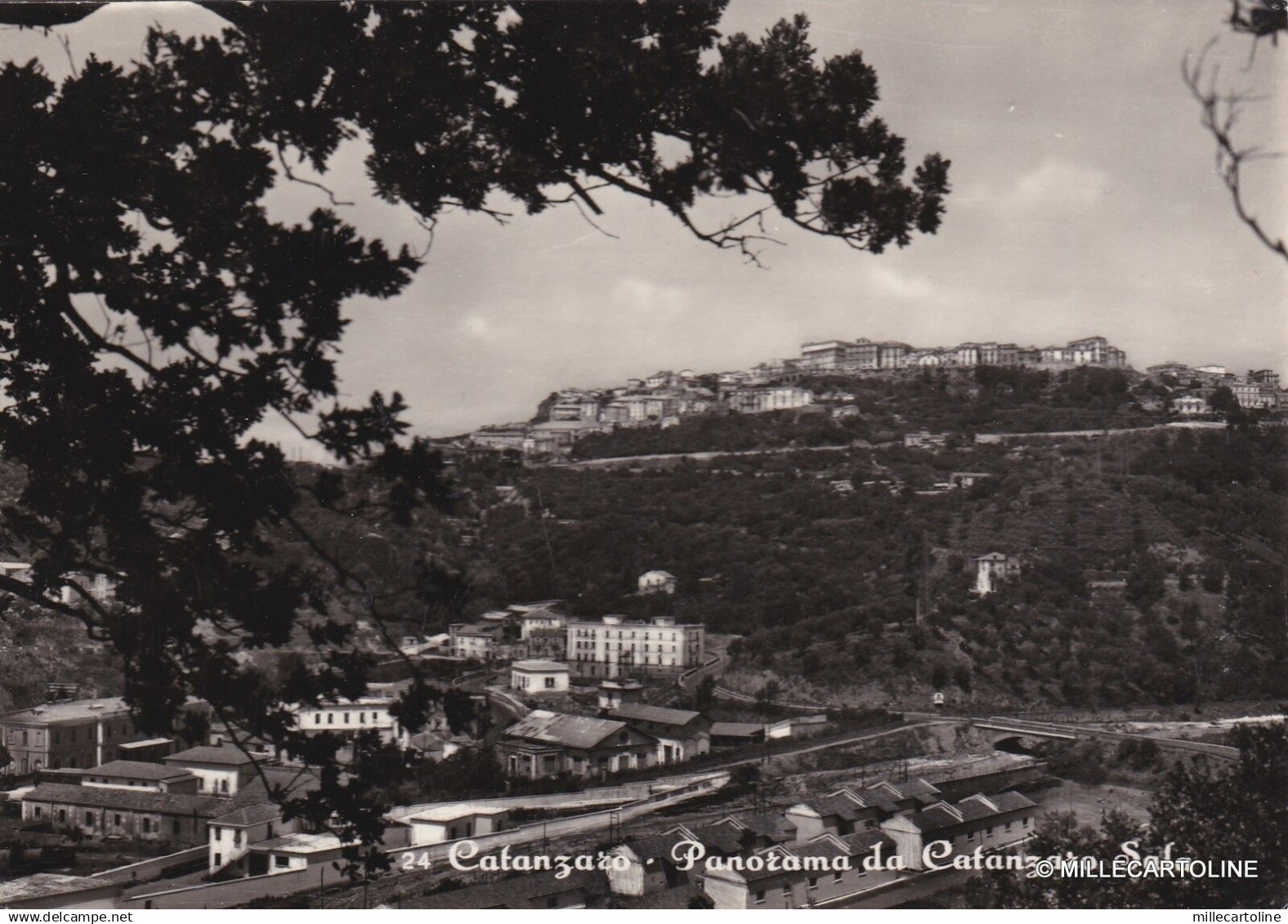 # CATANZARO: PANORAMA DA CATANZARO SALA  1956