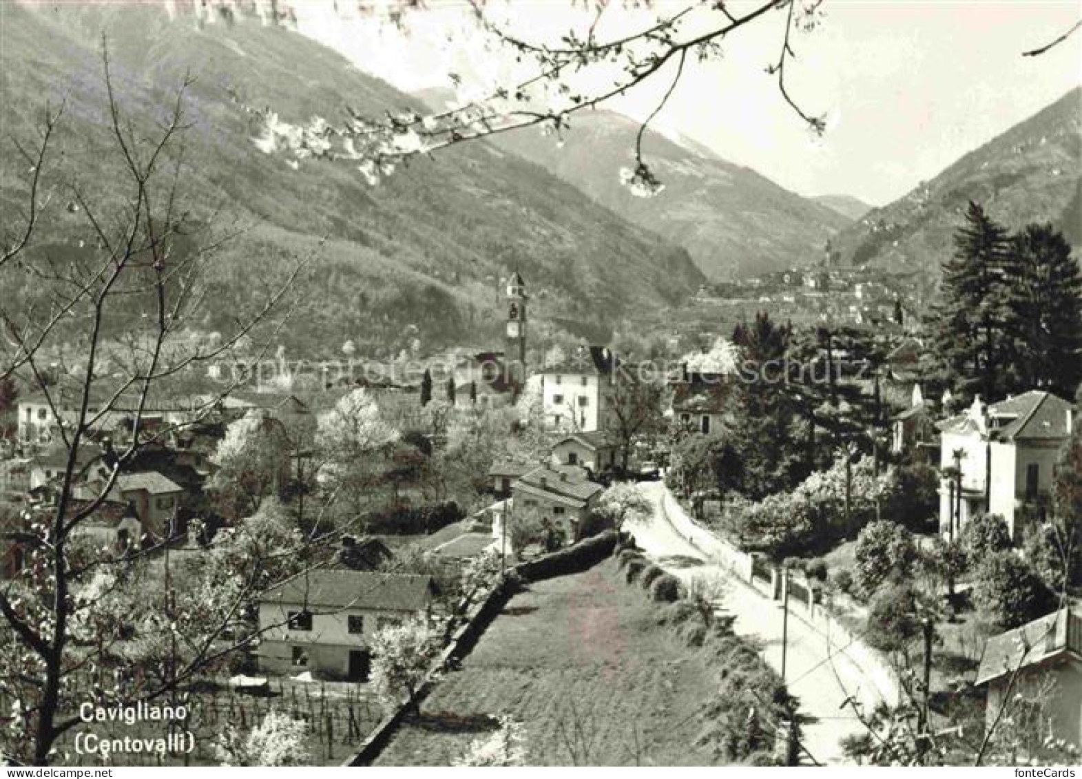 Cavigliano LOCARNO TI Panorama