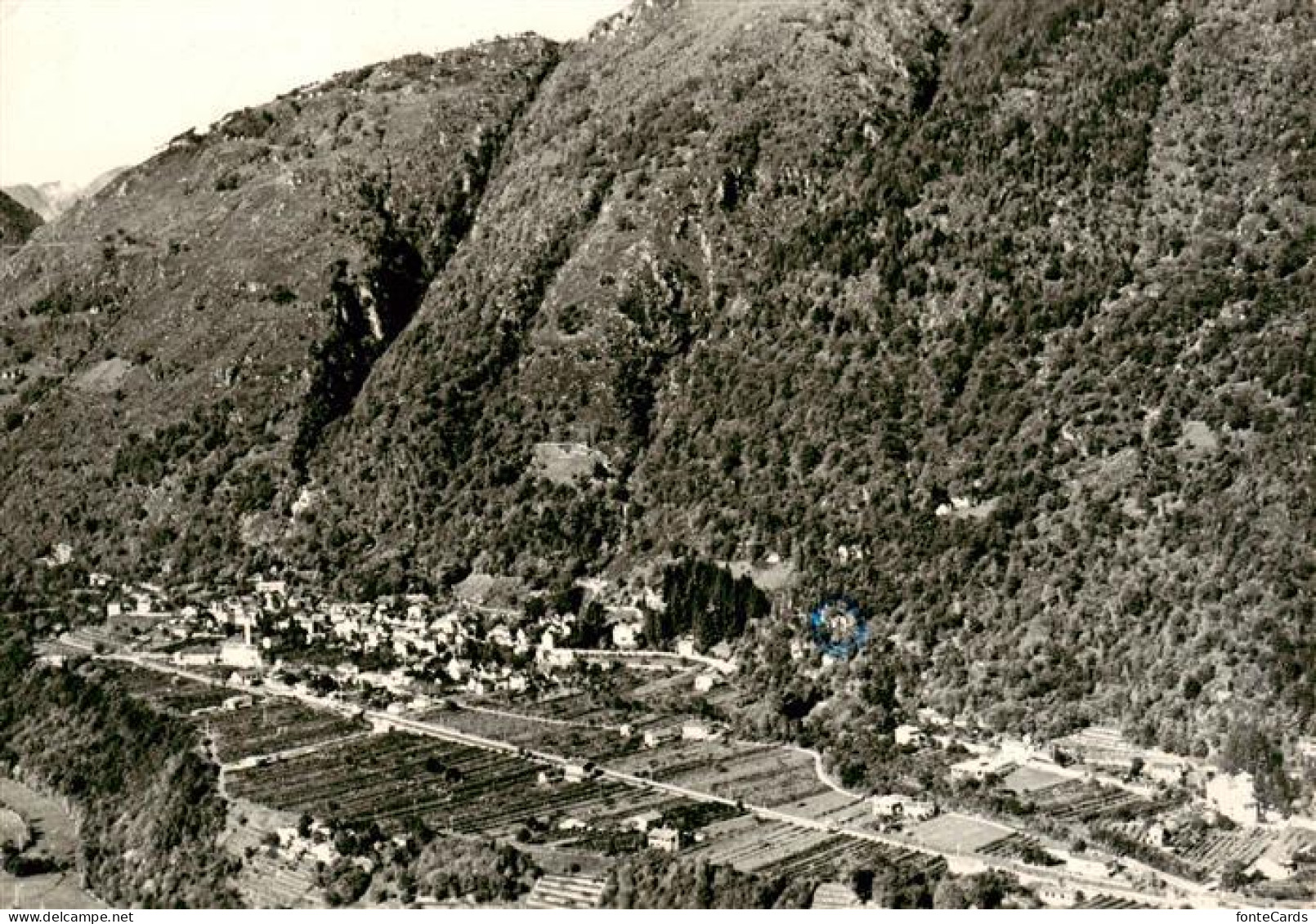 Cavigliano TI Fliegeraufnahme