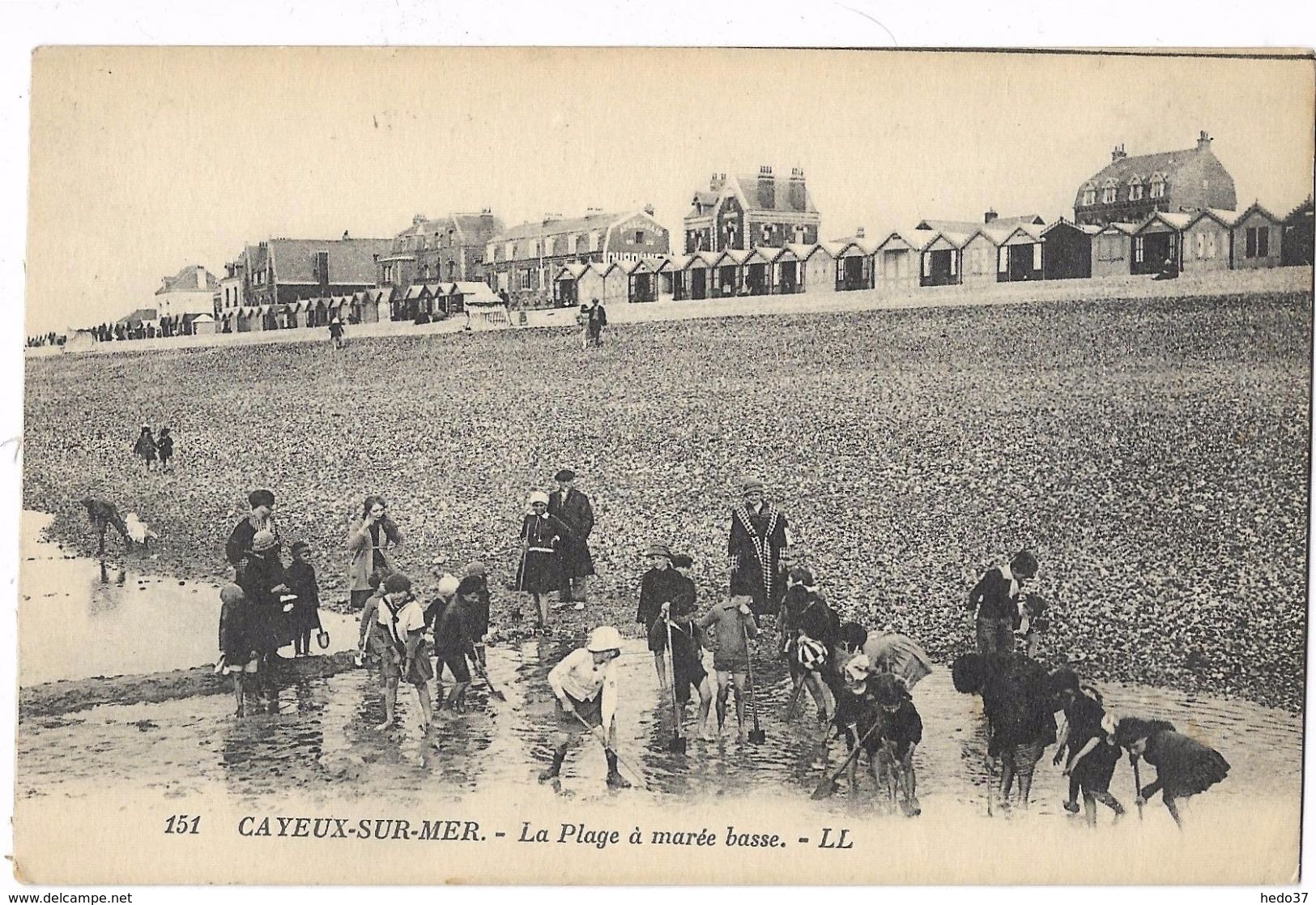 Cayeux-sur-Mer - La plage à marée basse