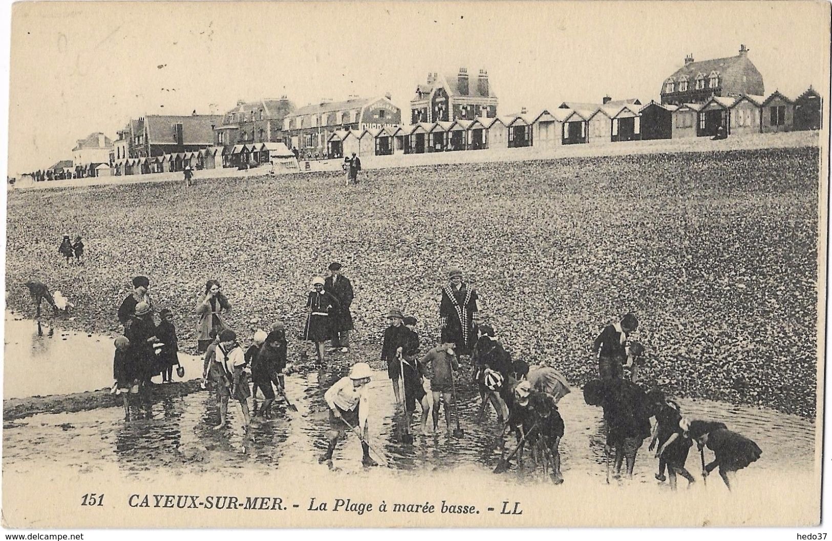 Cayeux-sur-Mer - La plage à marée basse