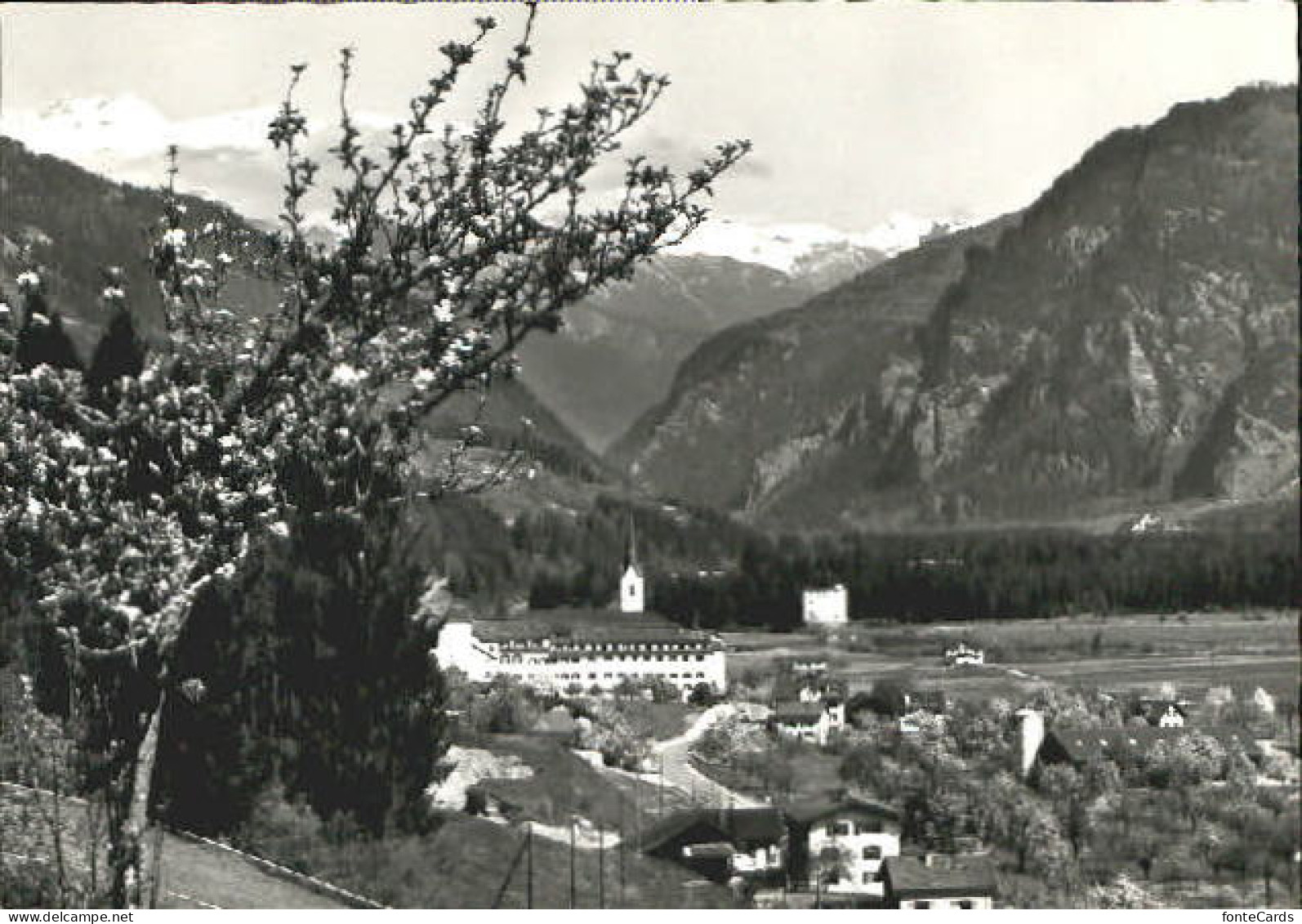Cazis GR x 1966