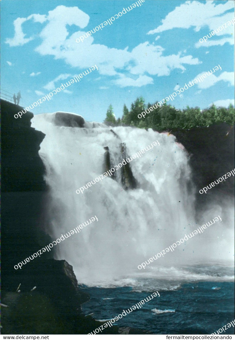 cd106 cartolina tannforsen sweden svezia