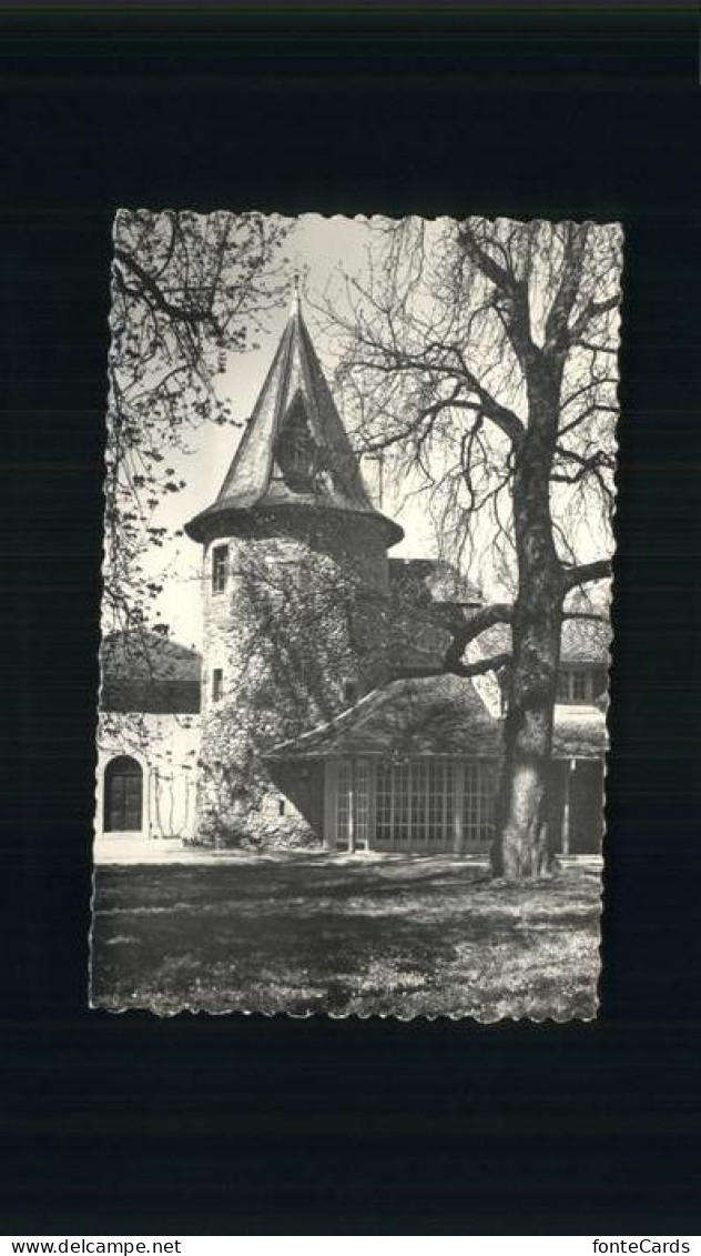 Celigny Chateau de Bossey