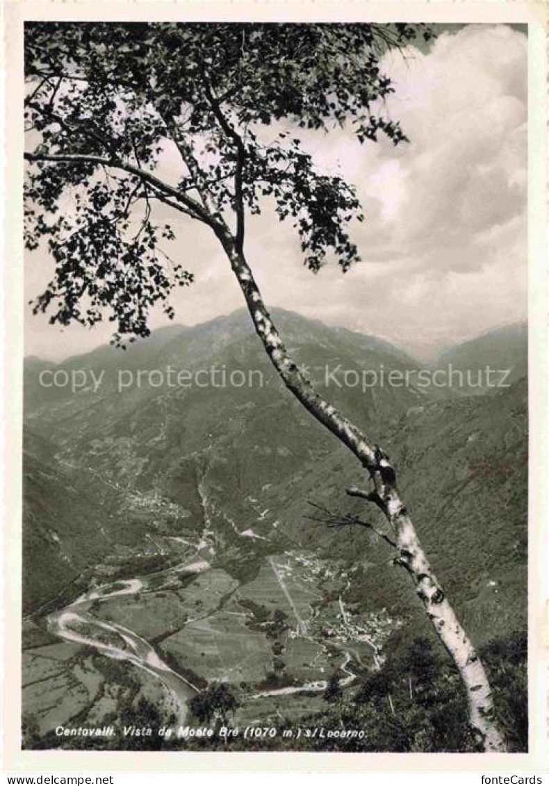 Centovalli Cento-Valli LOCARNO TI Monte-Brè Centovalli Tal Bergpanorama Birke Lo