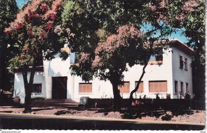 REPUBLIQUE CENTRAFRICAINE(BANGUI) ARBRE