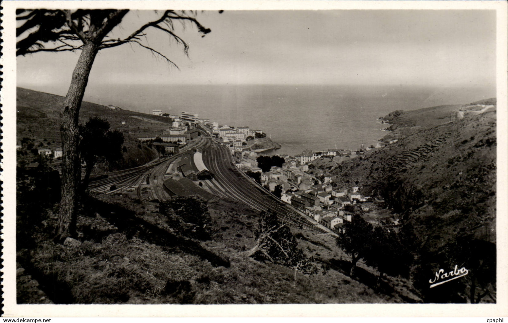 Cerbere - Vue Panoramique - CPA