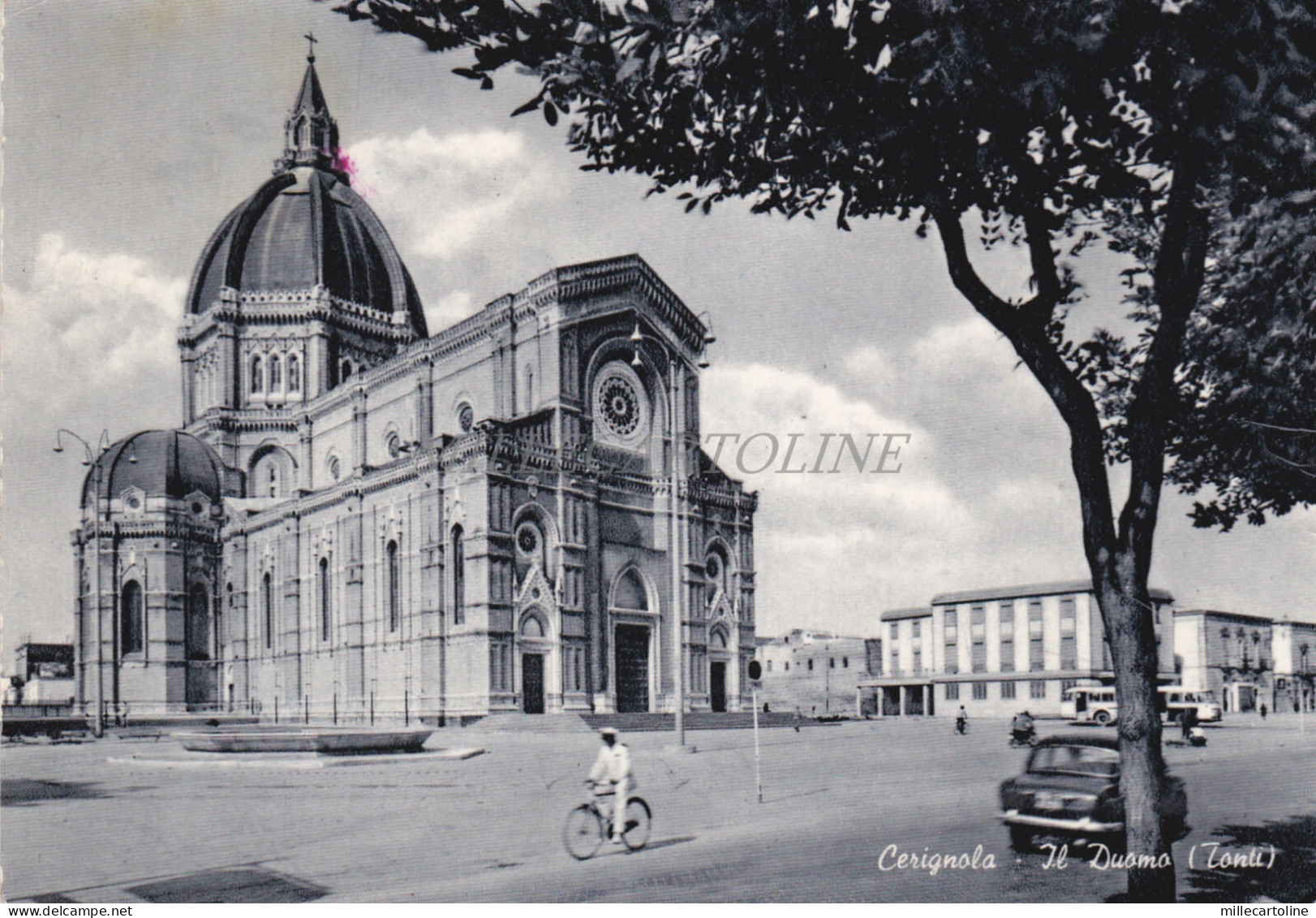 CERIGNOLA - Il Duomo (Tonti)