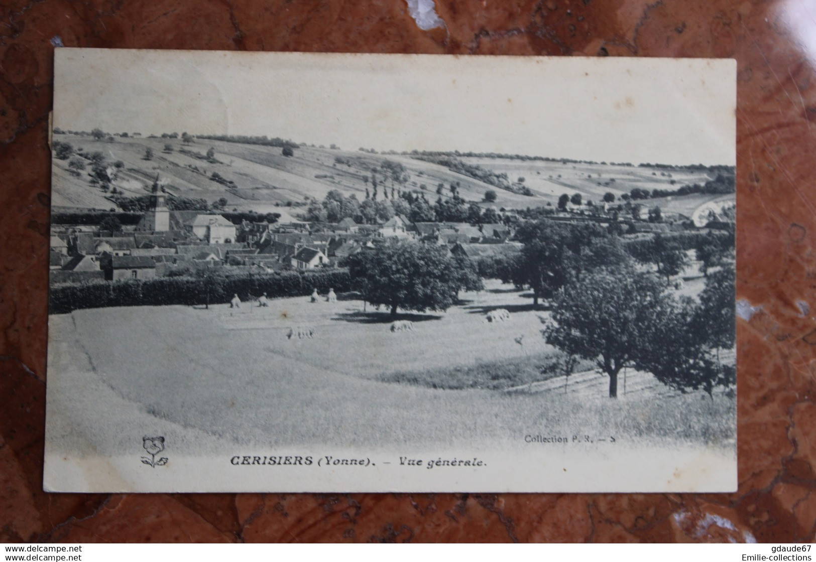 CERISIERS (89) - VUE GENERALE