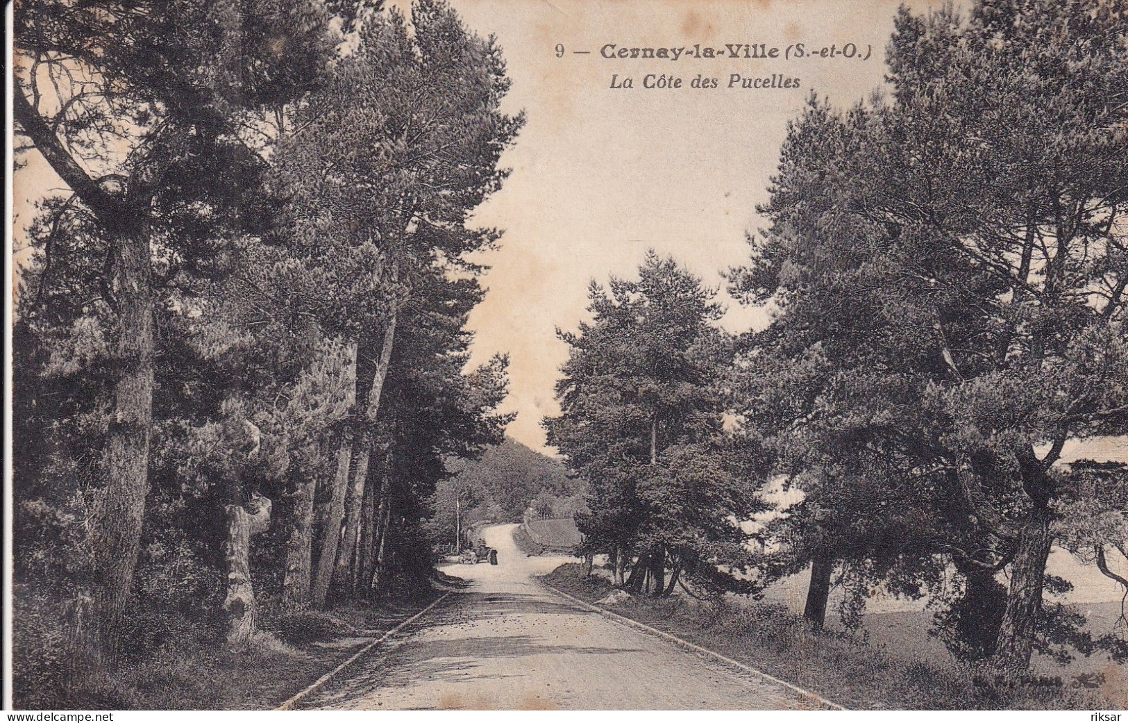CERNAY LA VILLE(ARBRE)