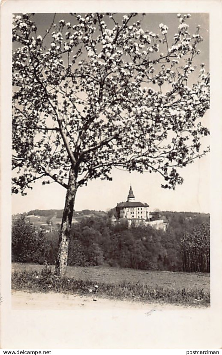 Česko - FRÝDLANT Friedland - Zámek