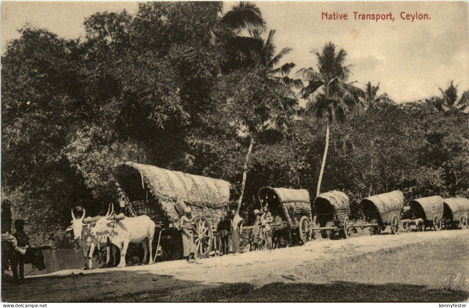 Ceylon - Native Transport