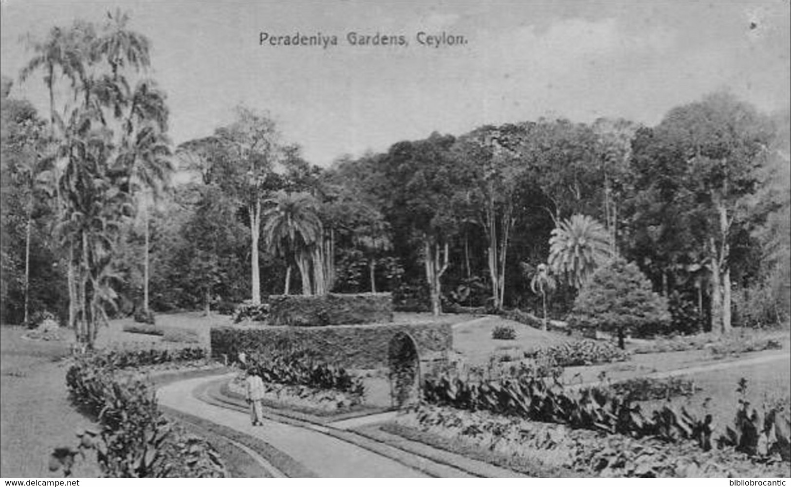 CEYLON - SRI LANKA < ANIMATED VIEW OF  PERADENIYA GARDENS