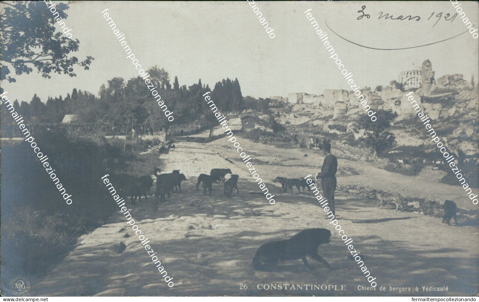 cf504 cartolina  fotografica constantinople  turchia turkey