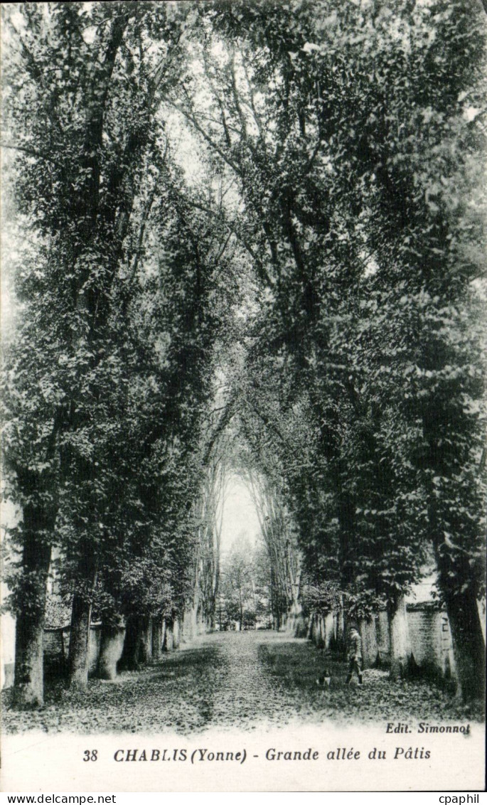 Chablis - Grande Allee- CPA