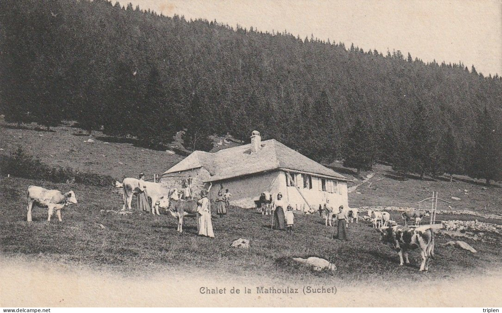 Chalet de la Mathoulaz (Suchet)