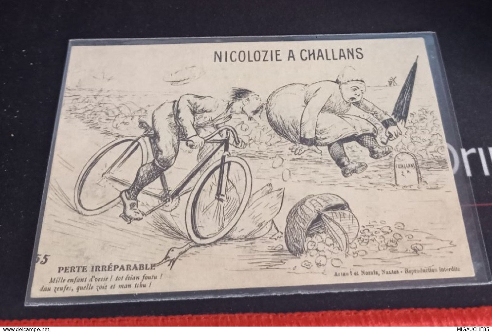 CHALLANS - NICOLOZIE  A  CHALLANS - perte irréparable