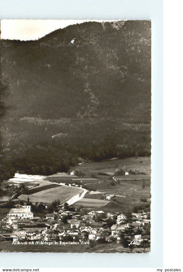 Cham Oberpfalz Cham Arnbruck