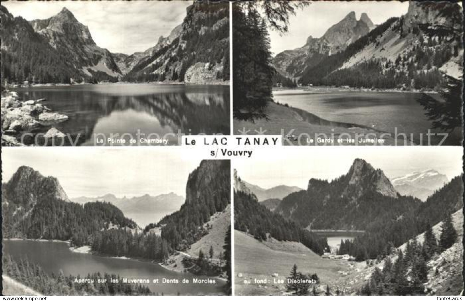 Chambairy Lac Tanay Vouvry