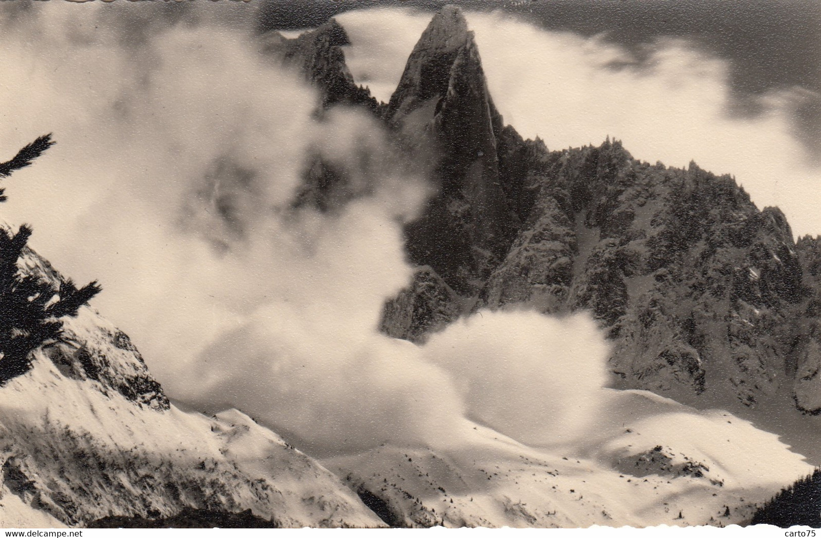 Chamonix-Mont-Blanc 74 - Photographie - Une avalanche au pied du Dru - Photographie Fumex