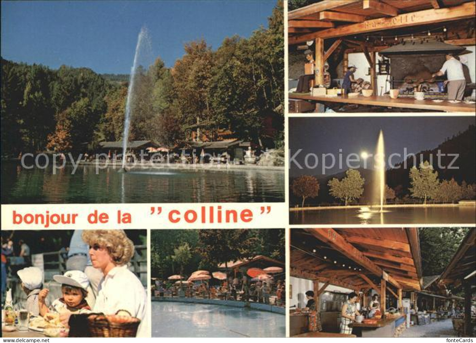 Chamoson La Colline aux Oiseaux Restaurant Fontaine Details