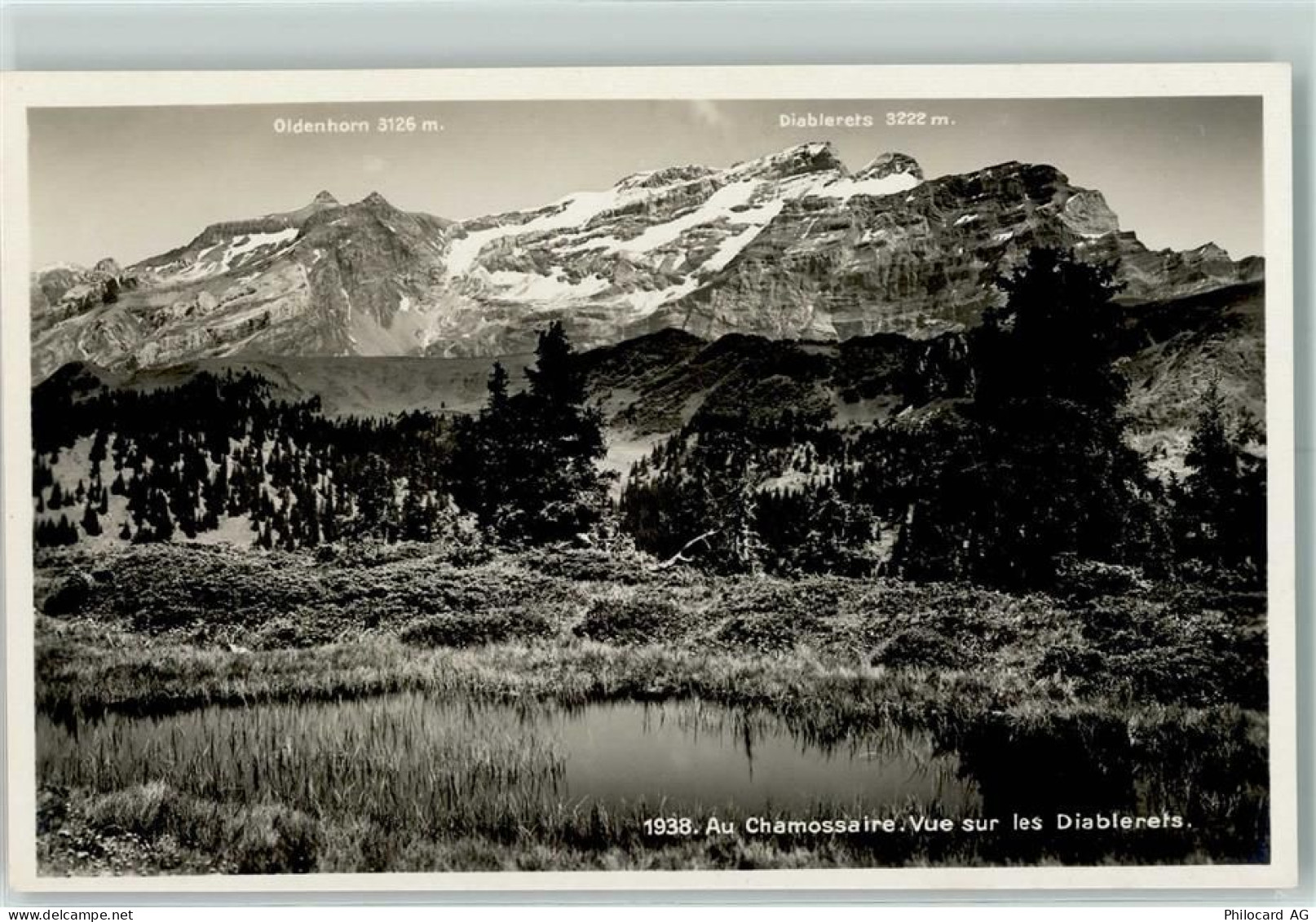 Chamossaire - Les Diablerets - 10307114