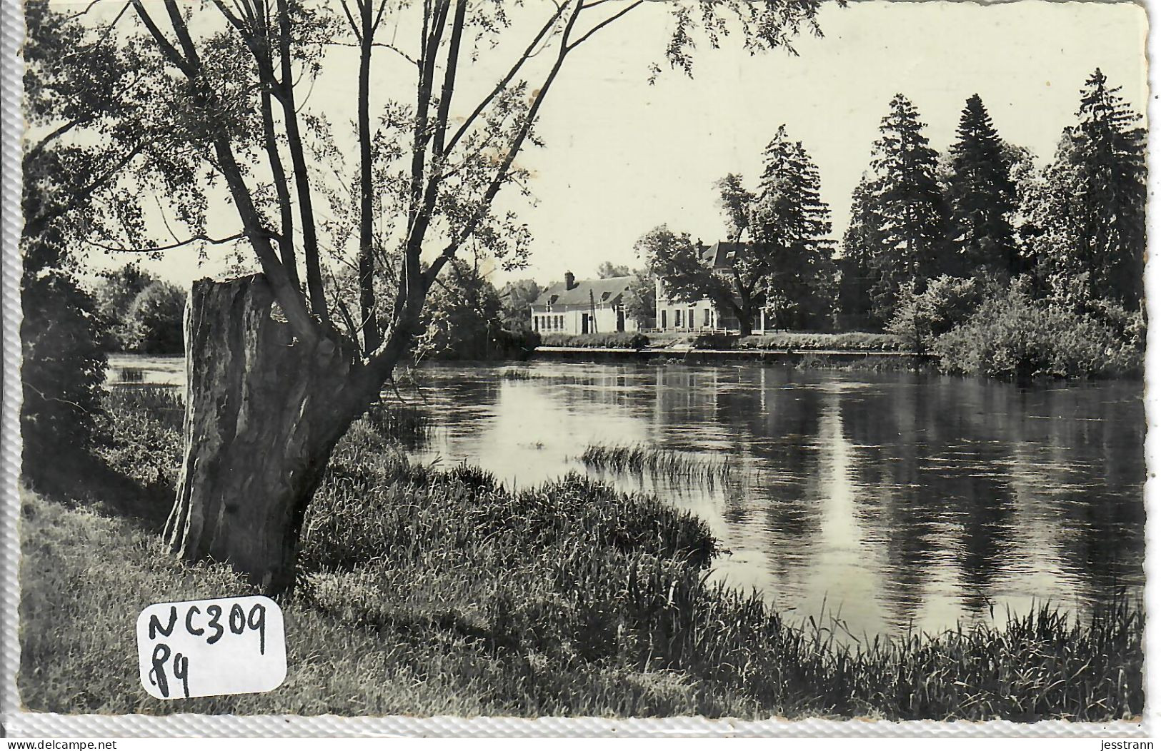 CHAMPS-SUR-YONNE- LES BORDS DE L YONNE