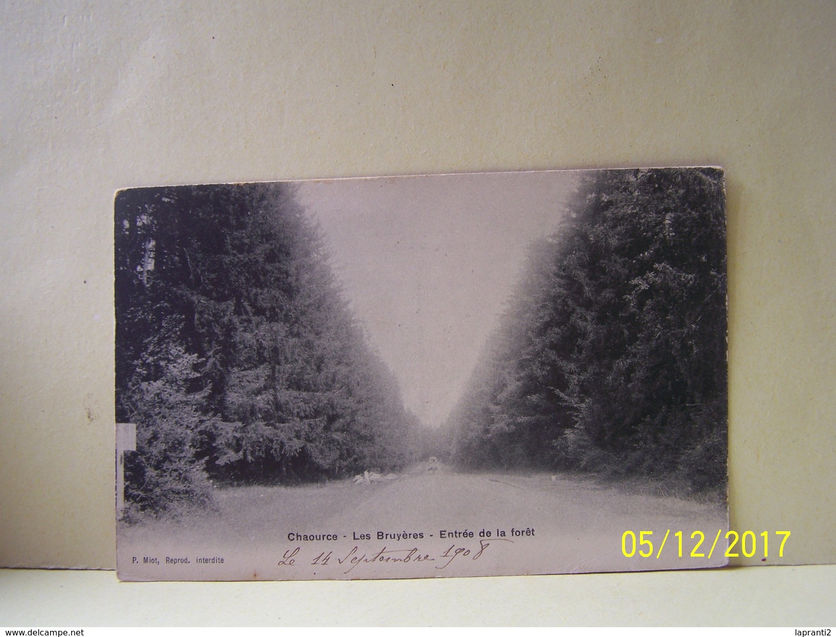 CHAOURCE (AUBE) LES BRUYERES. ENTREE DE LA FORET.