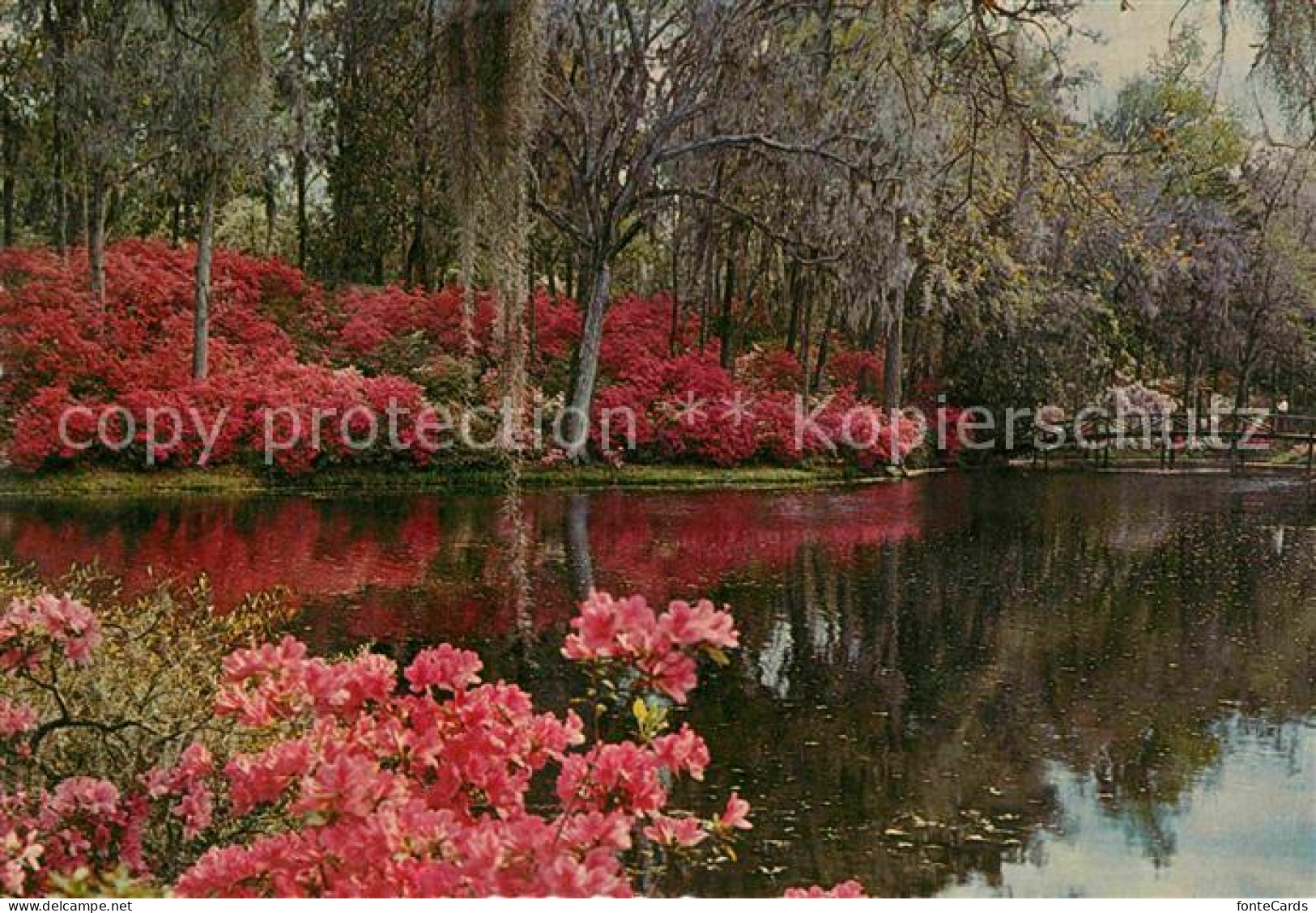 Charleston Arkansas Middleton Gardens