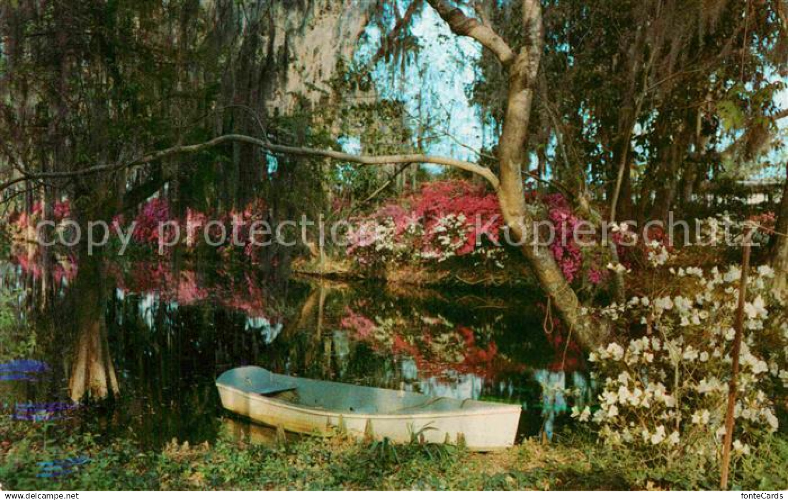 Charleston South Carolina Magnolia Gardens