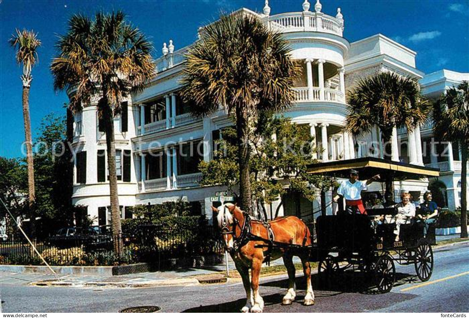 Charleston South Carolina Pferdekutsche