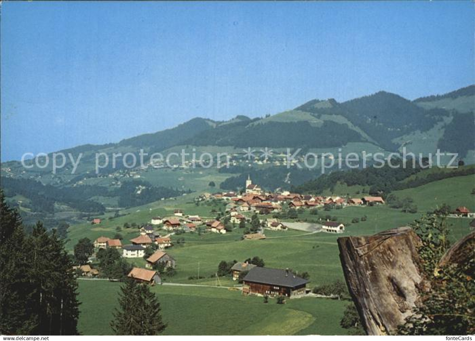 Charmey Panorama