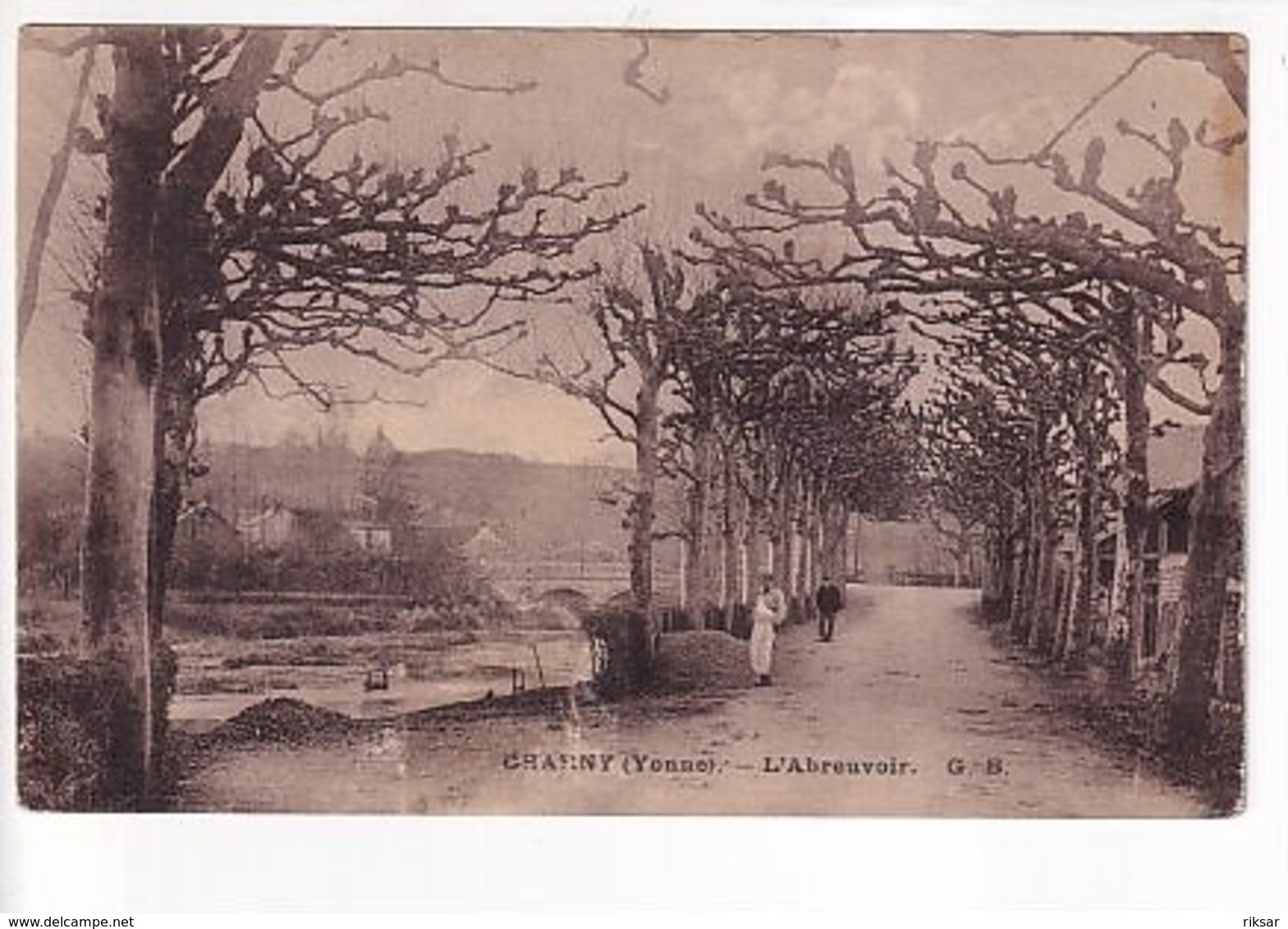 CHARNY(ARBRE)