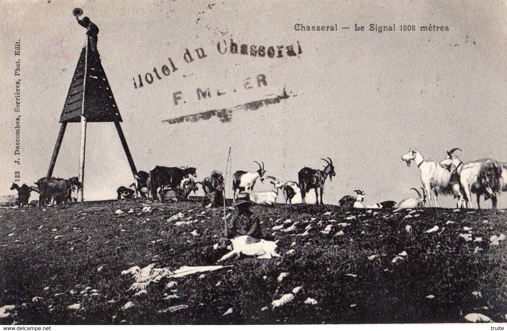 CHASSERAL LE SIGNAL 1608 METRES CHEVRIER AVEC SES CHEVRES