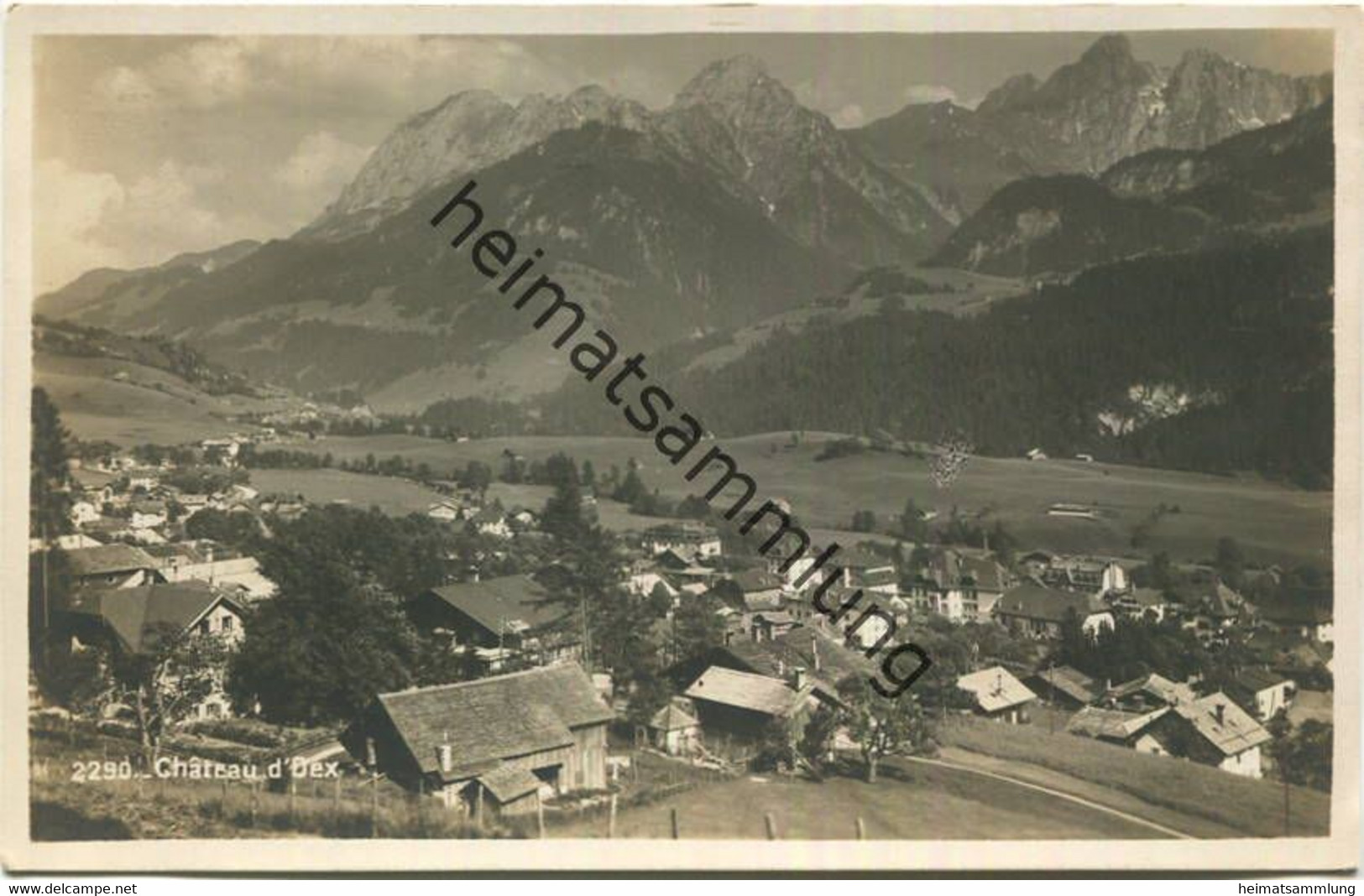 Chateau d'Oex - Foto-AK - Edition Societe Graphique Neuchatel