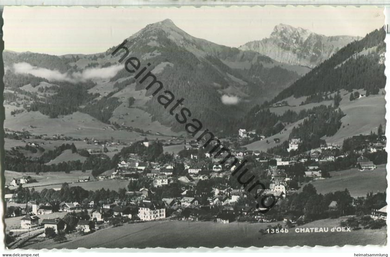 Chateau d'Oex - Foto-Ansichtskarte - Verlag O. Sartori Geneve
