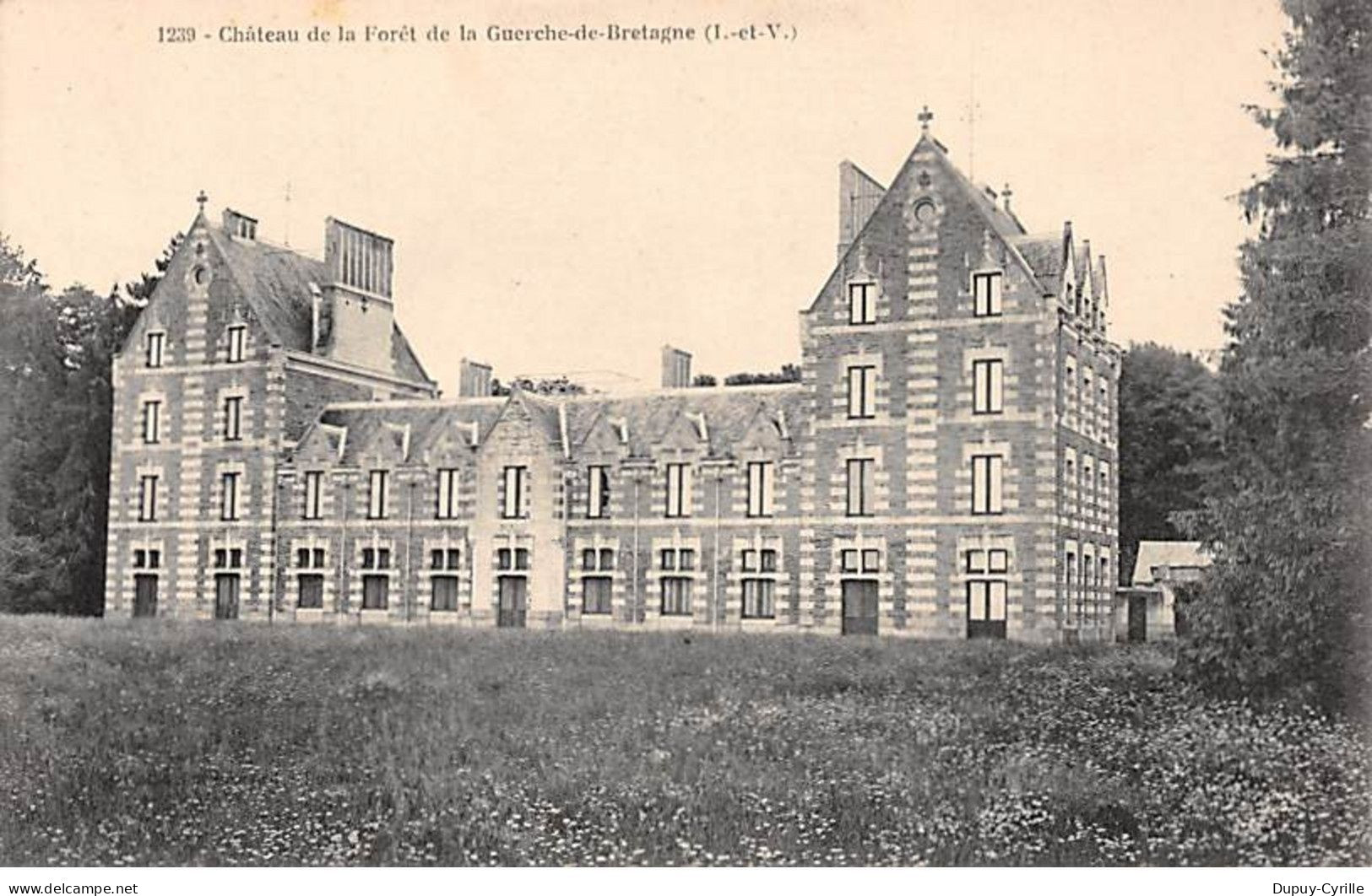 Château de la Forêt de LA GUERCHE DE BRETAGNE - très bon état